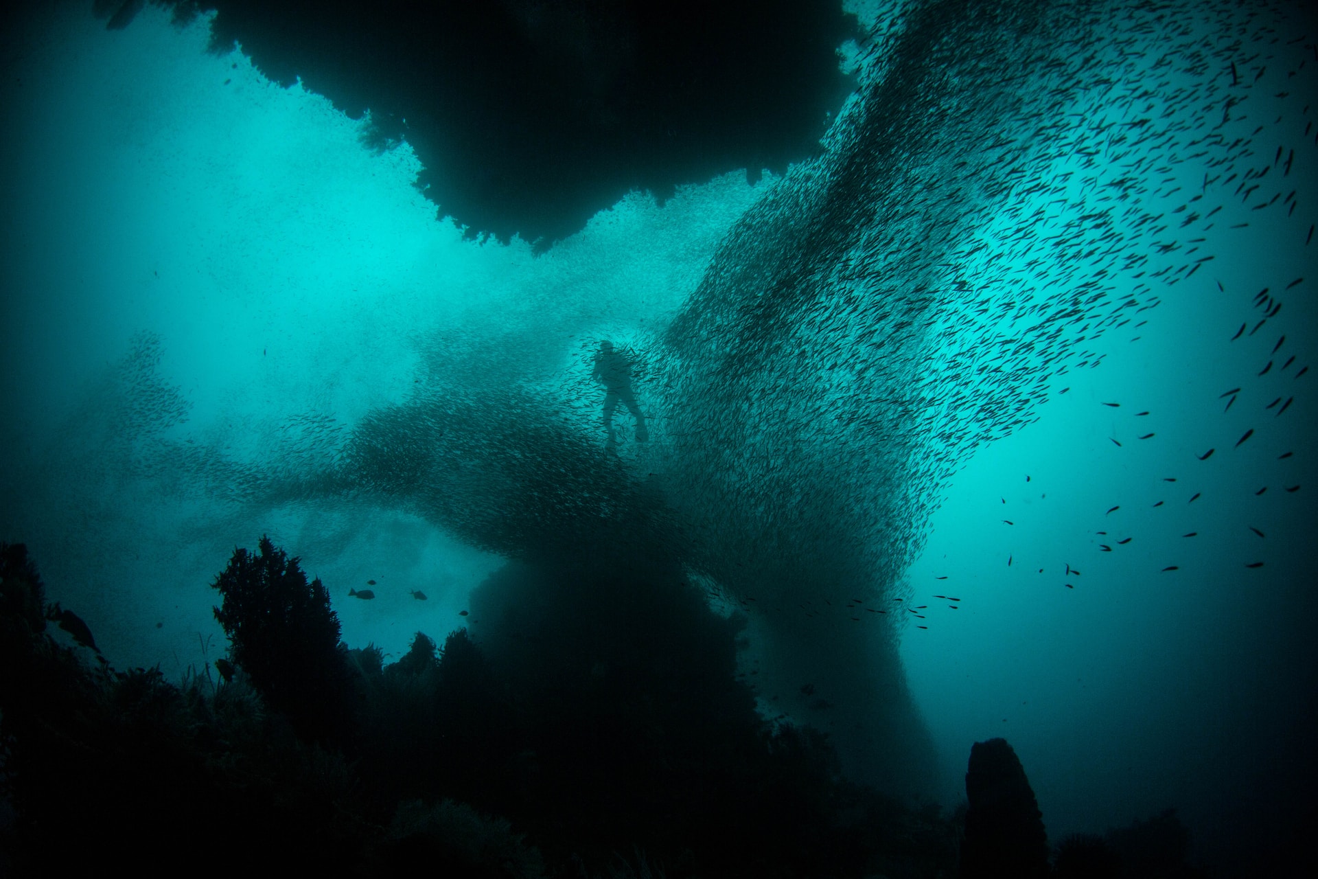 Underwater Drone Photography